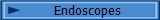 Endoscopes